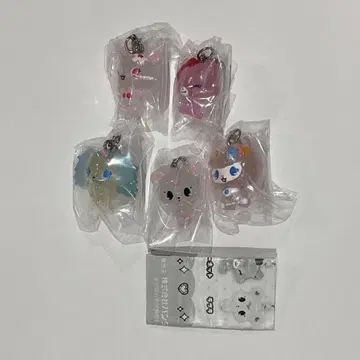 주얼 펫 메지루시 액세서리 컴플리트