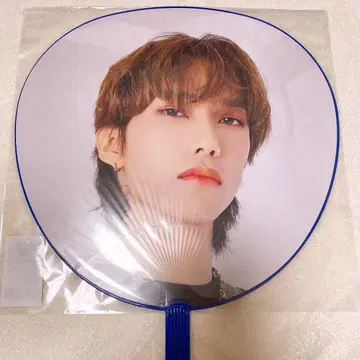 이케자키 리히토 부채
