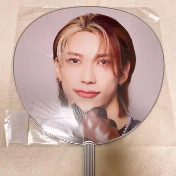 이케자키 리히토 부채