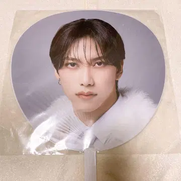이케자키 리토 부채