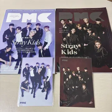 PMC 잡지 피아 MUSIC COMPLEX Stray Kids 스키즈