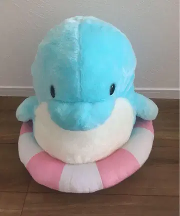 카나즈치 프렌즈 일카