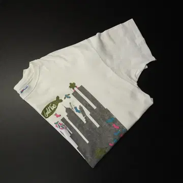 90s USA제 Hanes 에인즈 반팔 티셔츠 싱글 스티치 프린트