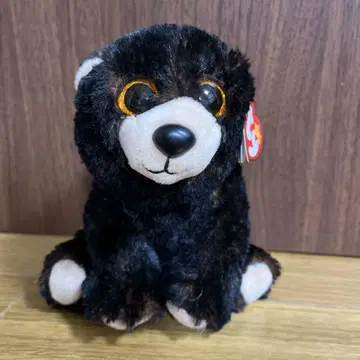 Beanie Babies 코디 (M)