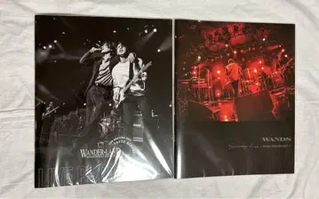 WANDS 5기 팜플렛 우에하라 다이시
