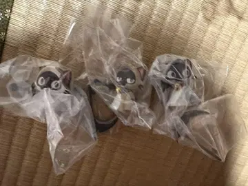시냐 신님 3종