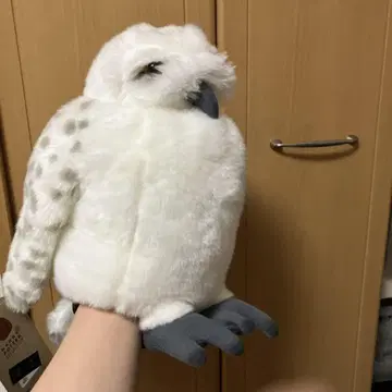 HARRY POTTER 올빼미 퍼펫 정품