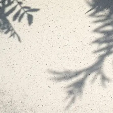 오더