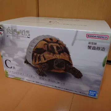 파충류&양서류 제일복권 헤르만 육지거북 C상