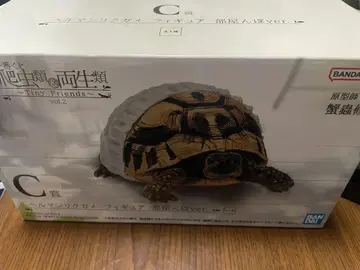 제일복권 파충류 양서류 헤르만 거북 C상