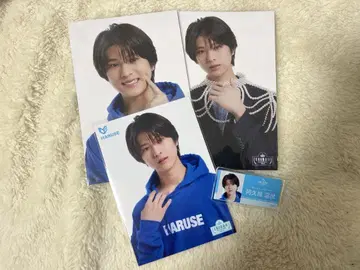 ICEx 아쿠네 하루세 EBiDAN museum