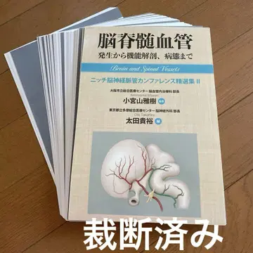 뇌척수혈관 발생부터 기능 해부, 병태까지