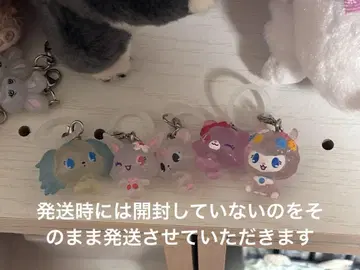 쥬얼펫 메지루시 액세서리 컴플리트