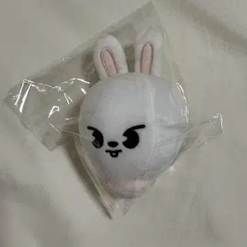 straykids 5-STARdometour2023 백참 스키즈
