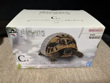 제일복권 파충류&양서류 헤르만 육지거북 C상