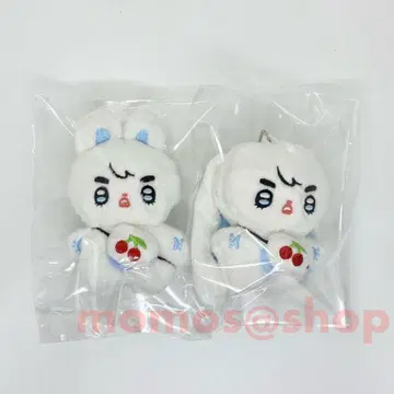 2개 세트 SEVENTEEN 세븐틴 승철 에스쿱스