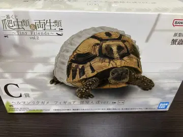제일복권 C상 헤르만 육지거북 피규어
