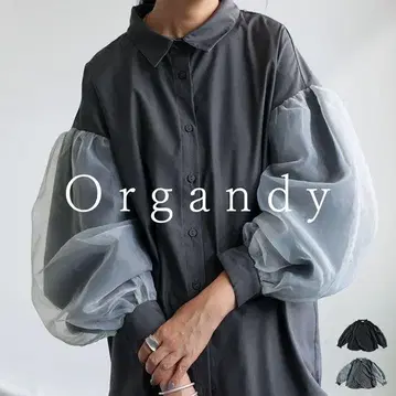 안티카 Organdy 시어 소재 볼륨 슬리브 셔츠