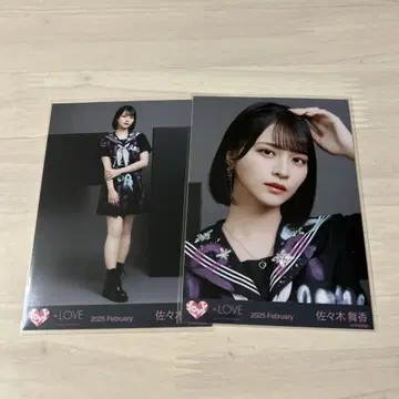 사사키 마이카 브로마이드 이코노이조이 양키 마지스카 세미 네이비