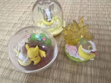 포켓몬, 멍파치, 피카츄, 포켓몬스터