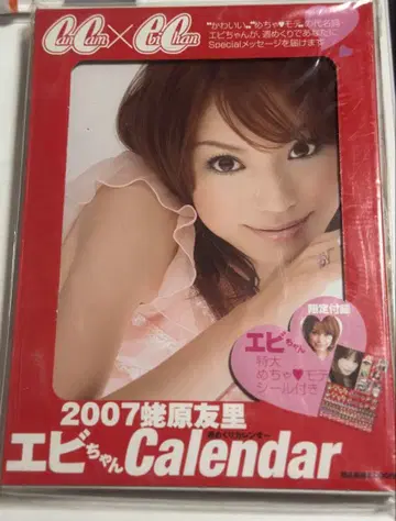 에비짱 2007년 달력