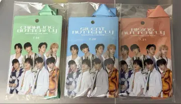 FANTASTICS LIVE 2025 업그레이드 굿즈 패스