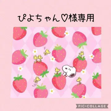 유키에몬 꽃 나무 오더