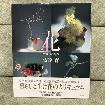 꽃 화예 아다치류