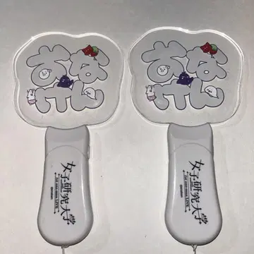 여자 연구 대학