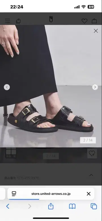 버켄 애로우즈 별주