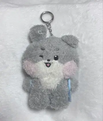 zb1 zeroni 고니니 gunini 봉제 인형 고누쿠 제베원