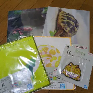 파충류 & 양서류 ~Tiny Friends~ vol.2