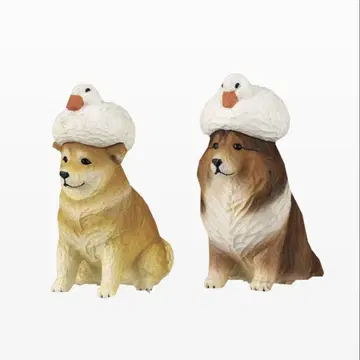 오리와 강아지 시바견 (빨간 시바) 셔틀랜드 쉽독