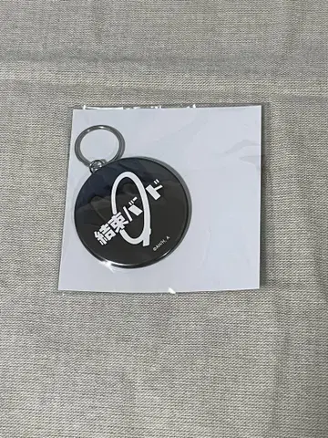 결속 밴딩 zepp tour2024 캔 배치 참