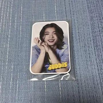 SHOOT 카드 거울 No. BUDDiiS AuDee 회원 가입 혜택