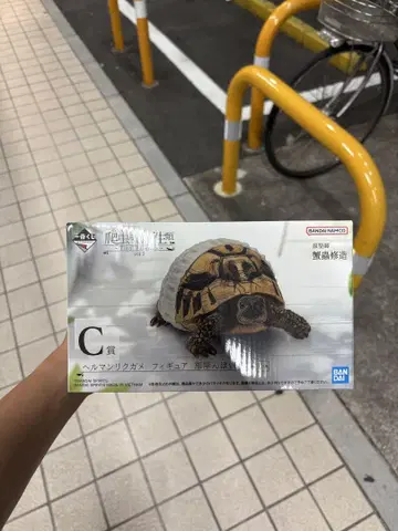 제일복권 파충류 및 양서류 C상 헬만리쿠가메 피규어