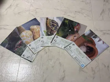 반다이 파충류 vol.2 클리어 파일 & 스티커 세트