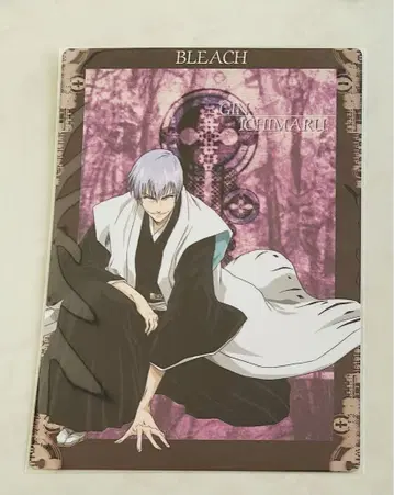 BLEACH 이치마루 긴 책받침