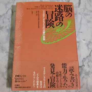 뇌의 미로 모험 안이 무 저