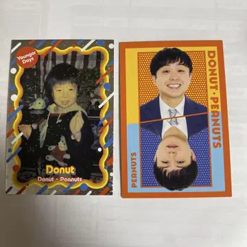 요시모토 콜레카 6th edition 도넛 피넛