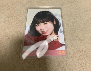 대서 아오이 친필