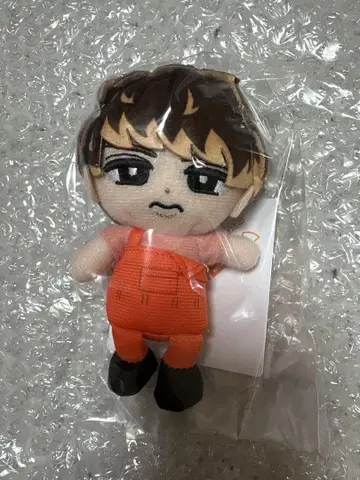 미개봉 새상품 SnowMan 스노치루 봉제 인형 무카이 코지