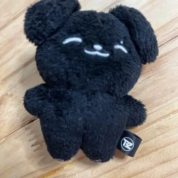 The boyz ZENERATION 미니 인형 봉제 인형 상연
