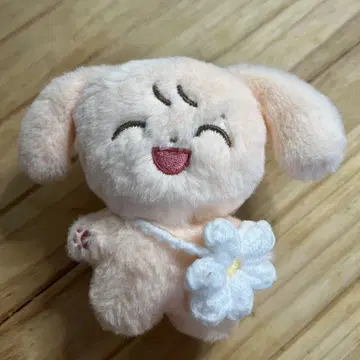 THE BOYZ 도보이즈 산용 봉제 인형 미니 인형 마스터