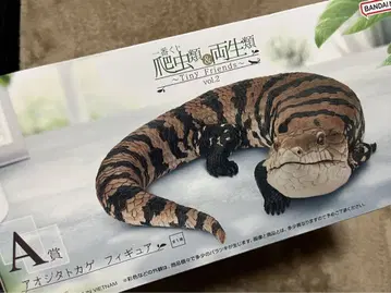 제일복권 파충류 & 양서류