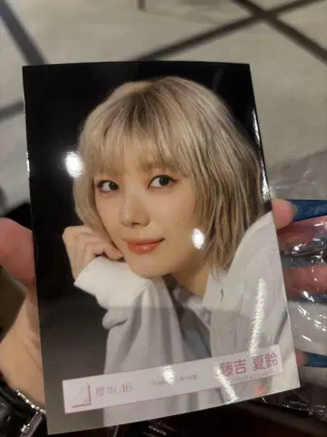 사쿠라자카46 후지요시 카린 공식 사진 addiction 요리
