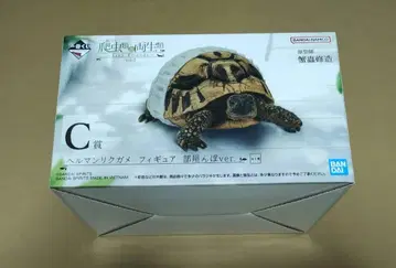 파충류 및 양서류 제일복권