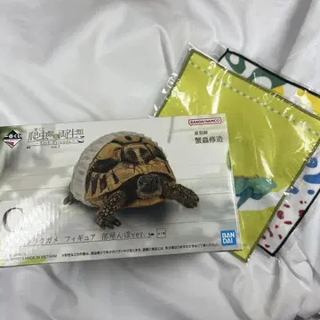 제일복권 파충류 및 양서류 C상 헬만리쿠가메 피규어 방에서 놀기 ver.