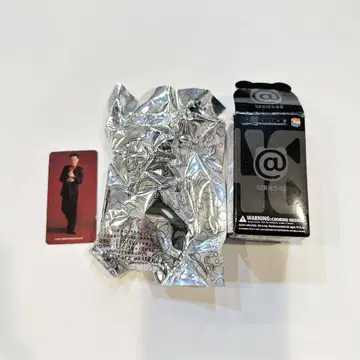 타하라 토시히코 베어브릭 BE@RBRICK series 48
