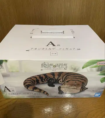 제일복권 파충류 및 양서류 A상 아오지타 도마뱀